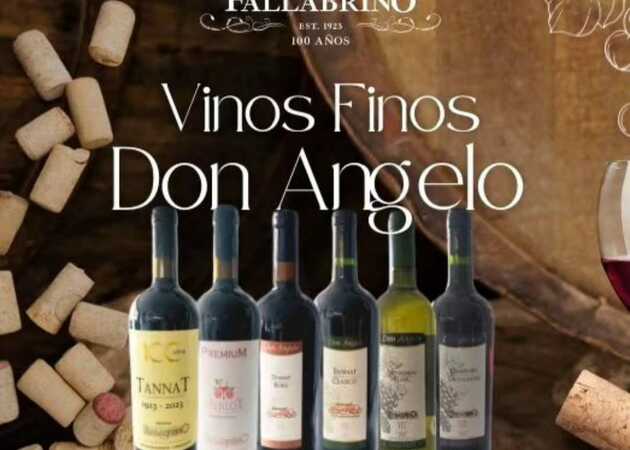 Image gallery Angel Fallabrino Winery 22