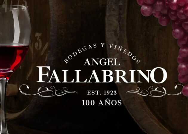 Galerie de images Domaine viticole Ángel Fallabrino 18