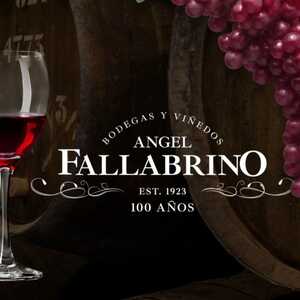 Photo de couverture Domaine viticole Ángel Fallabrino